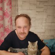 ���������� ����-�������, ������� ˸��, 43