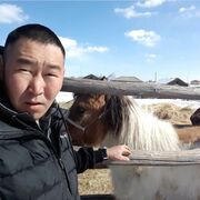 ���������� ������, ���� ������� ������, 38 ���, ������������ ��� c�������� ���������, ���������