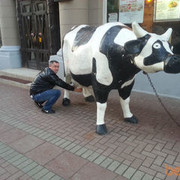 ���������� ������, ���� ������� ��������, 53 ����, ������������ ��� ������, ����� � ���������, c�������� ���������