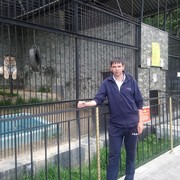 ���������� ��������, ������� ������, 41