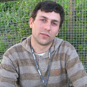  ,   GIORGI, 37 ,   ,   , c 