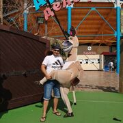 ���������� �����������, ���� ������� �����, 39 ���, ������������ ��� ������, ����� � ���������