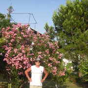 ������ 2915�.