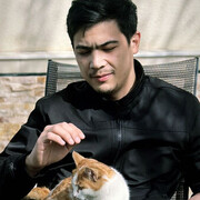 ���������� �������, ���� ������� ��������, 31 ���, ������������ ��� ������, ����� � ���������, c�������� ���������, ���������