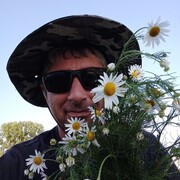  ,   , 43 ,   ,   