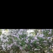 ���������� ������, ���� ������� �����, 46 ���, ������������ ��� ������, ����� � ���������