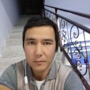 ���������� �����-���������, ���� ������� ALEKTA, 33 ����, ������������ ��� ������, ����� � ���������, c�������� ���������