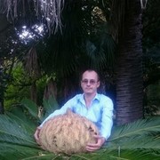 ���������� ����, ���� ������� ����, 42 ����, ������������ ��� ������, ����� � ���������, c�������� ���������