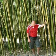 ���������� ������-��-����, ���� ������� ����������, 45 ���, ������������ ��� ����� � ���������, c�������� ���������