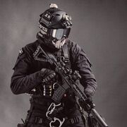 ���������� ������, ���� ������� �����, 35 ���, ������������ ��� ������, ����� � ���������