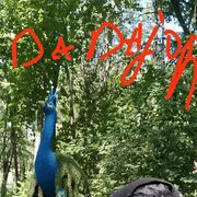 ���������� ������, ���� ������� ���, 37 ���, ������������ ��� ������, ����� � ���������