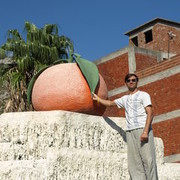  ,   Shaslivchik, 44 ,   