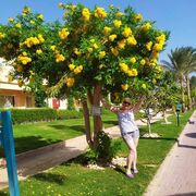  ,   Lena, 57 ,   ,   