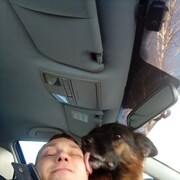 ���������� ���������, ���� ������� ���������, 38 ���, ������������ ��� ������, ����� � ���������, ���������