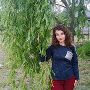 ���������� ����������, ���� ������� �����, 38 ���, ������������ ��� ������, ����� � ���������, c�������� ���������