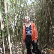   ,  roman, 40