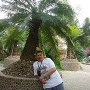  -,   , 61 ,  
