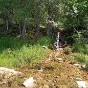 ���������� ���, ���� ������� �����, 51 ���, ������������ ��� c�������� ���������