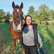  ,   Regi, 52 ,     , c 