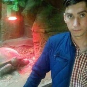  ,   , 24 ,   ,   , 