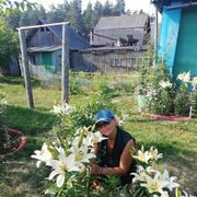  ,   , 52 ,     , c 