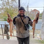 ���������� ���������, ���� ������� ������, 43 ����, ������������ ��� ������, ����� � ���������, c�������� ���������