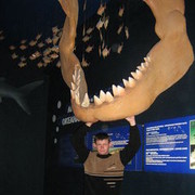 ���������� �����������, ���� ������� ���������, 43 ����, ������������ ��� ������