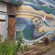 ���������� �������, ���� ������� ����, 37 ���, ������������ ��� ������, ����� � ���������