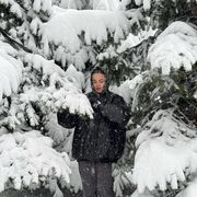 ���������� ������, ���� ������� ������, 29 ���, ������������ ��� ������, ����� � ���������