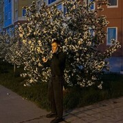 ���������� �������������, ���� ������� ����, 27 ���, ������������ ��� ������, ����� � ���������