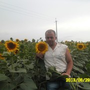  ,  ALEX, 41