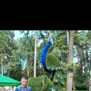 ���������� ������, ���� ������� �������, 49 ���, ������������ ��� ������, ����� � ���������