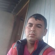 ���������� �����-���������, ���� ������� ��������, 37 ���, ������������ ��� ������, ����� � ���������