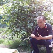  ,   , 43 ,   ,   