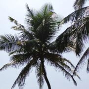  ,   , 42 ,   ,   , c , 