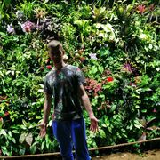 ���������� �����������, ���� ������� �����, 33 ����, ������������ ��� ������, ����� � ���������