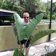 ���������� �����-���������, ���� ������� Sedgik, 42 ����, ������������ ��� ������, ����� � ���������