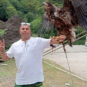  ,   , 44 ,   ,   