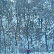 ���������� ������������, ���� ����� ���������, 22 ����, ������������ ��� ������, ����� � ���������