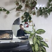 ���������� �����-���������, ���� ����� ����, 22 ����, ������������ 