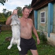  ,   , 48 ,   
