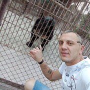 ���������� �������, ���� ������� �������, 38 ���, ������������ ��� ������, ����� � ���������, c�������� ���������, ���������