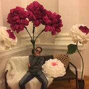 ���������� ������, ���� ������� ����, 27 ���, ������������ ��� ������, ����� � ���������, c�������� ���������