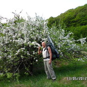  ,   , 76 ,   ,   