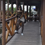  ,   , 43 ,  