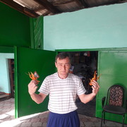  ,   , 46 ,   ,   , c 