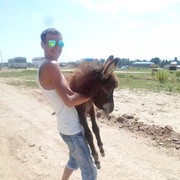 ���������� �������, ���� ������� �����, 40 ���, ������������ ��� ������