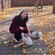 ���������� �����-���������, ���� ������� ��������, 40 ���, ������������ ��� ������, ����� � ���������, c�������� ���������