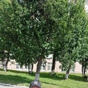 ��� ������ ���, �������� �. ������-���.