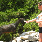 ���������� ������, ���� ������� ����, 50 ���, ������������ ��� ������, ����� � ���������, c�������� ���������